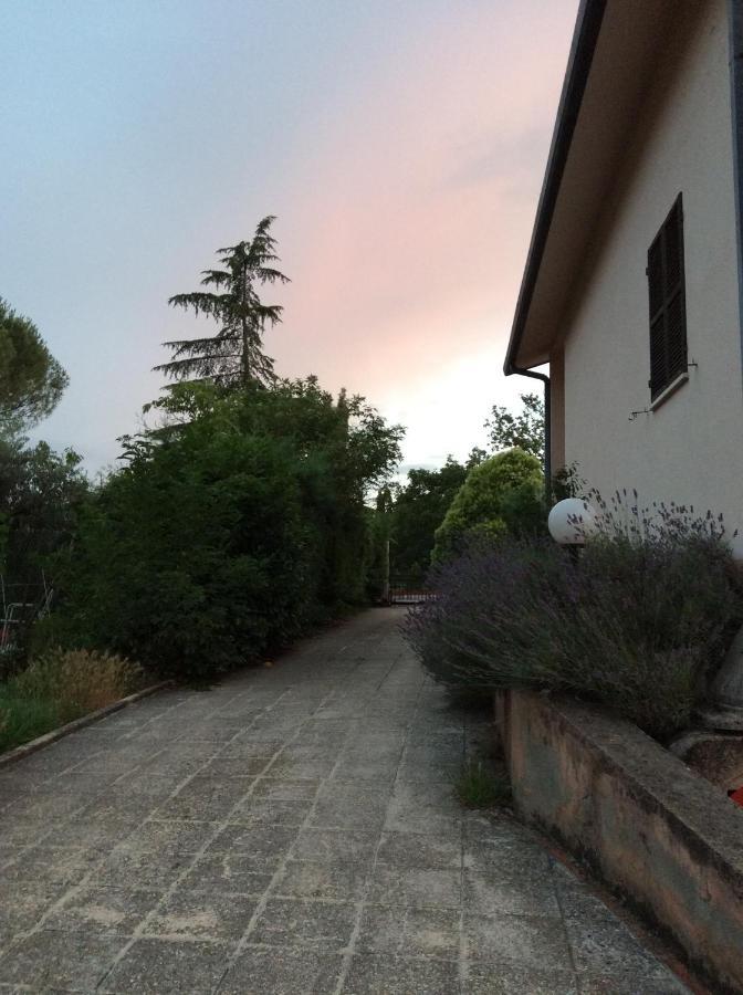 B&B Il Frassino 페루자 외부 사진