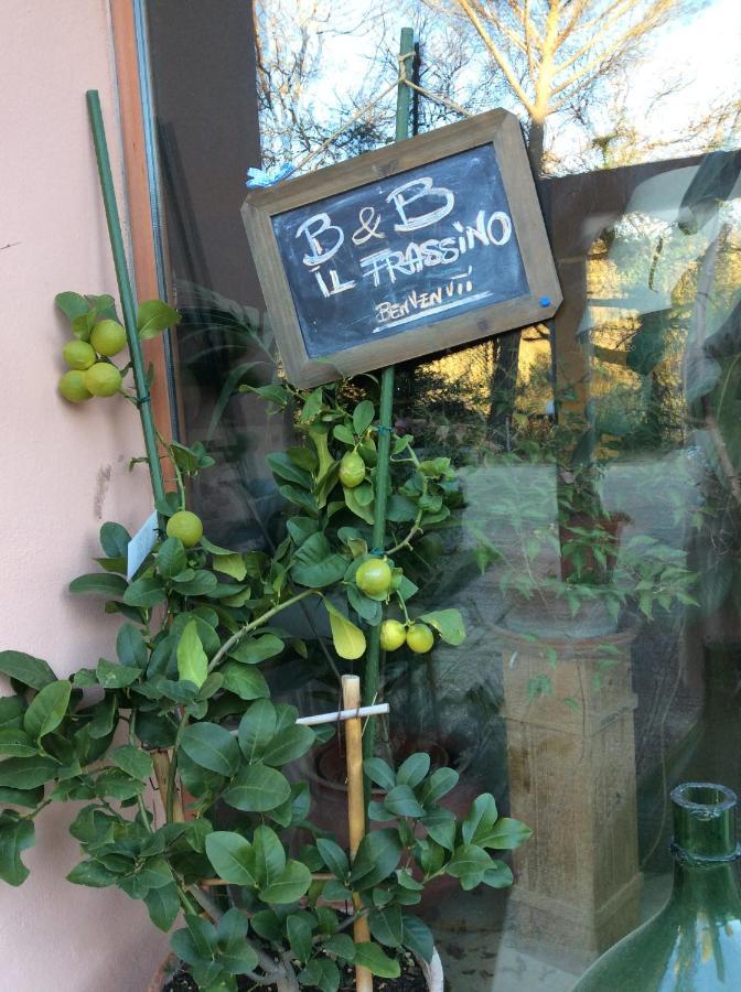 B&B Il Frassino 페루자 외부 사진