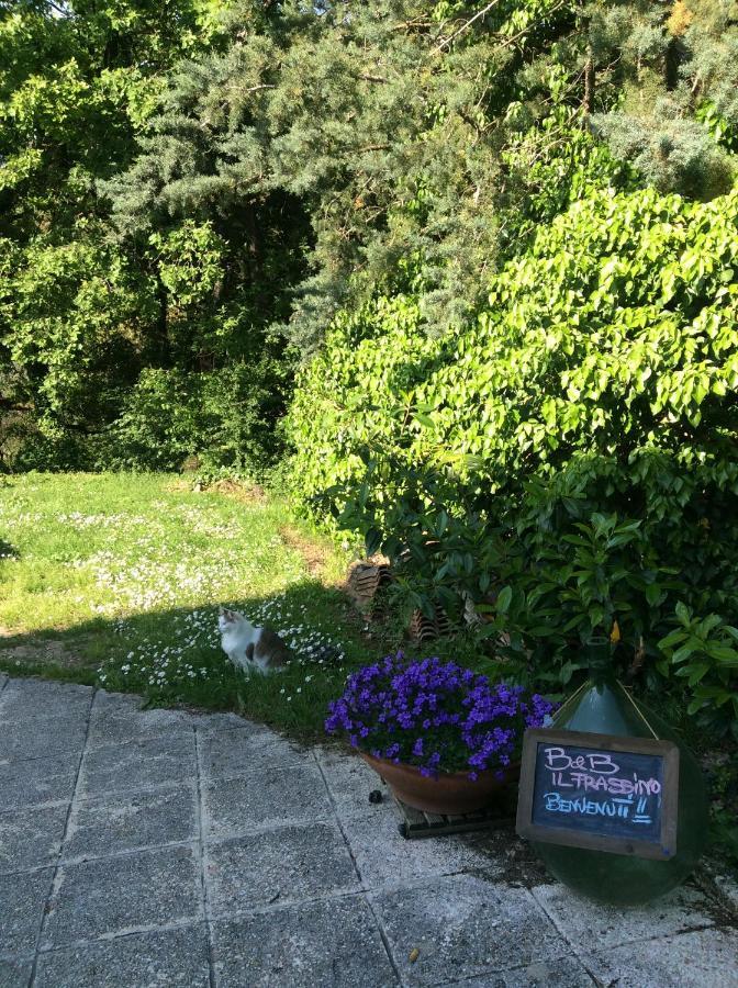 B&B Il Frassino 페루자 외부 사진